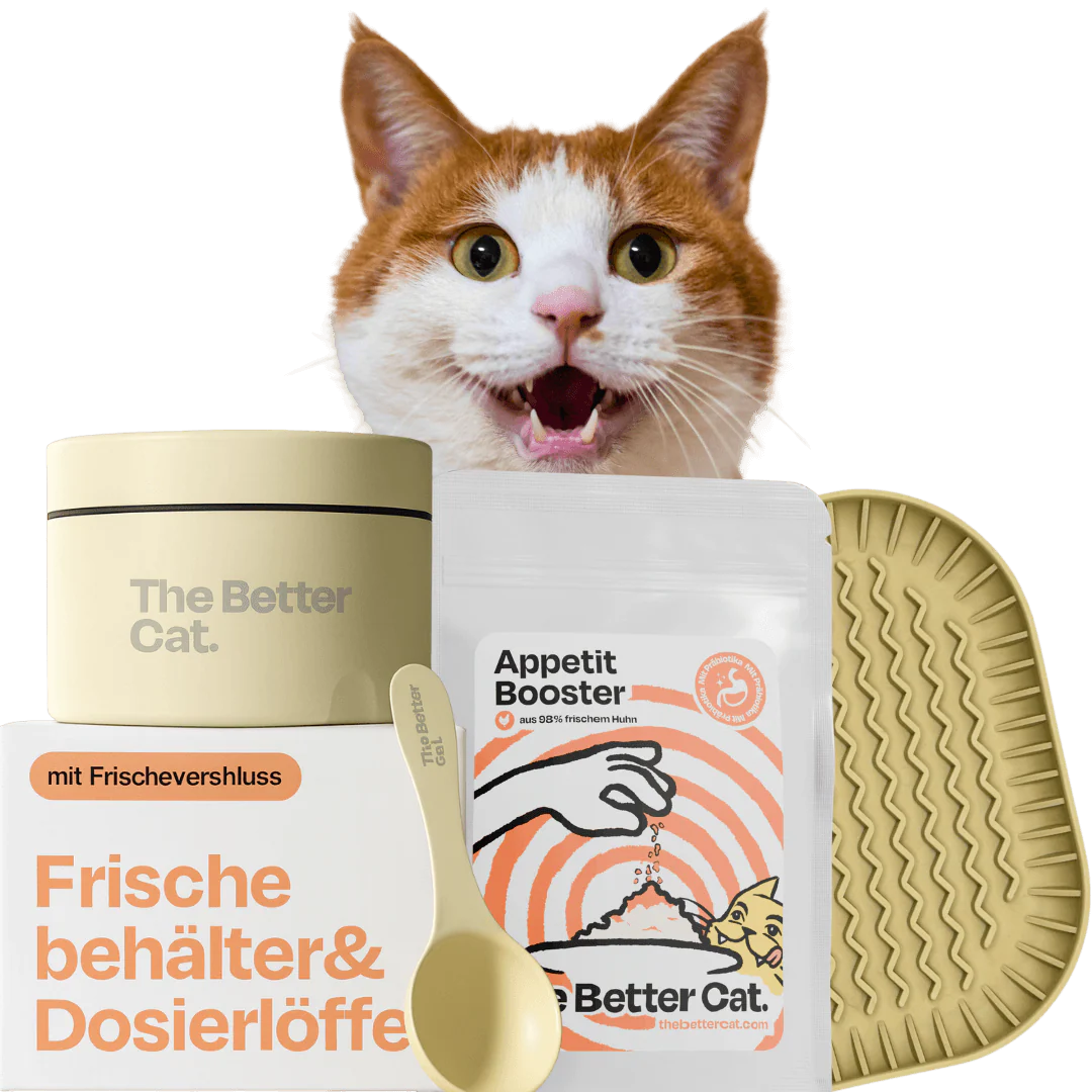 The Better Cat