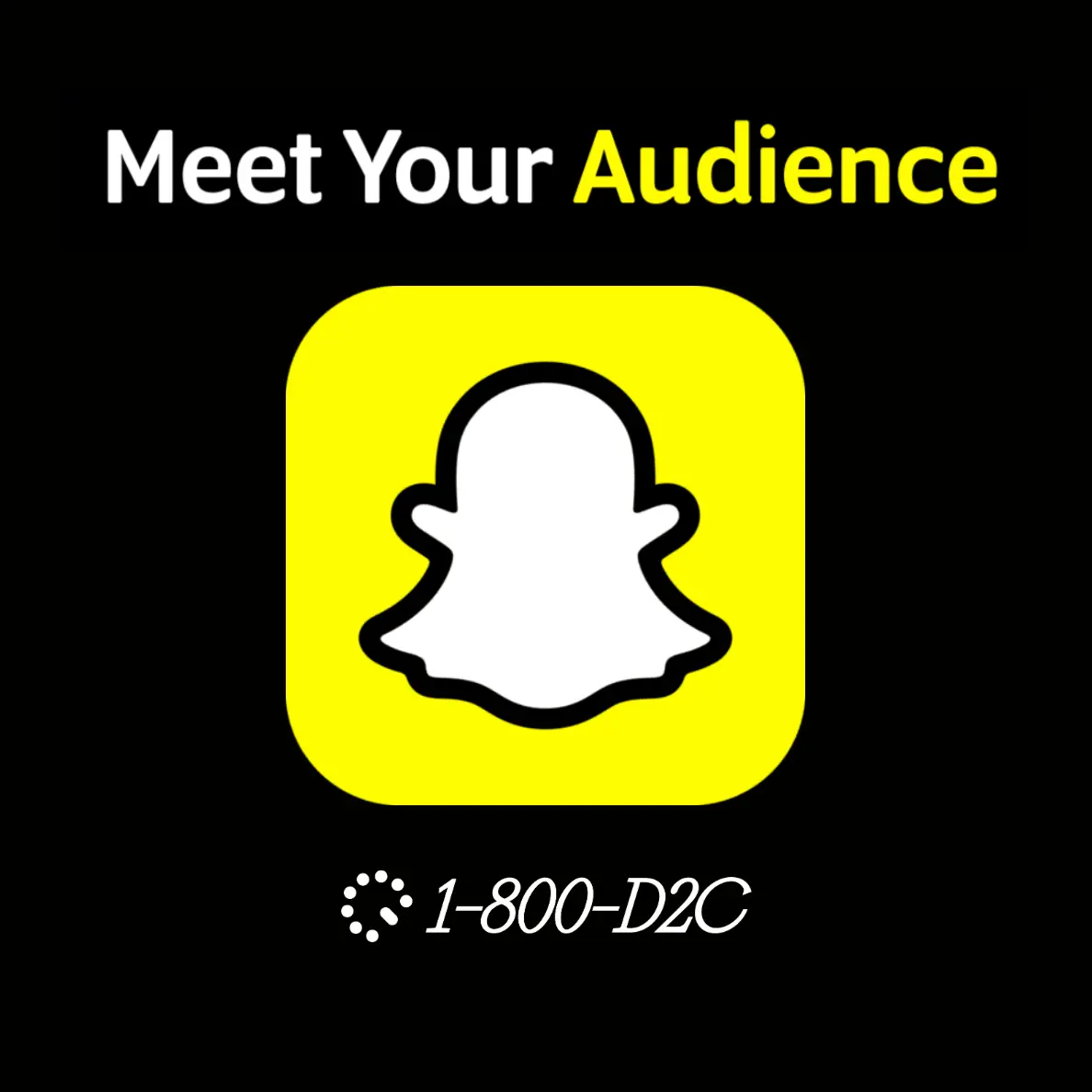 Black background graphic with the headline “Meet Your Audience” in white and yellow text above the white Snapchat ghost logo inside a yellow square. Below the logo is the white 1-800-D2C logo.