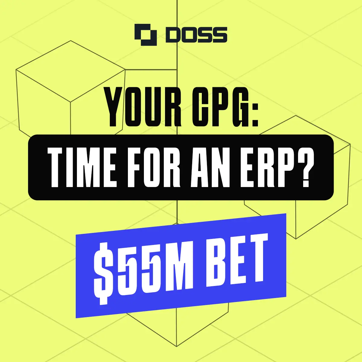 Text asking if your CPG needs an ERP