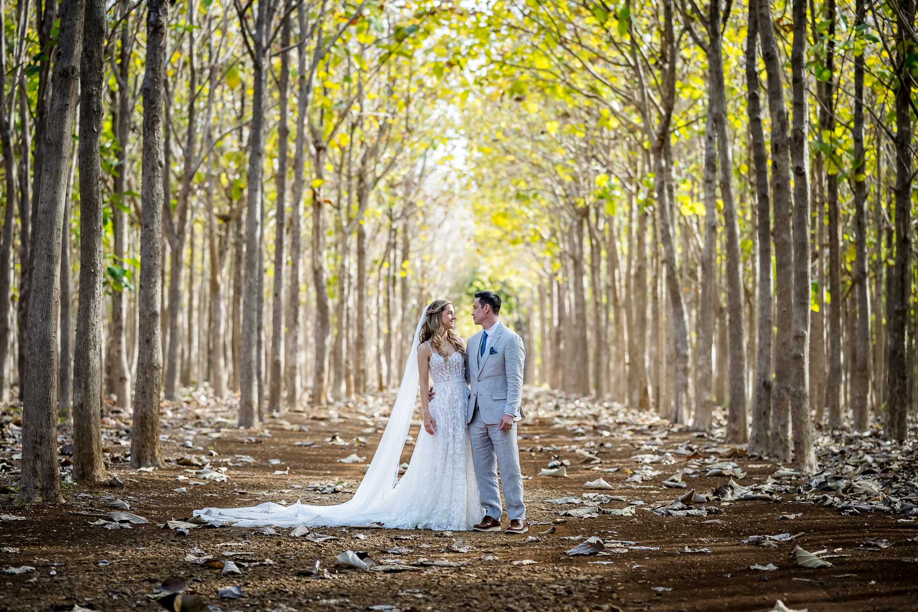 Na Aina Kai tree tunnel elopement wedding photos
