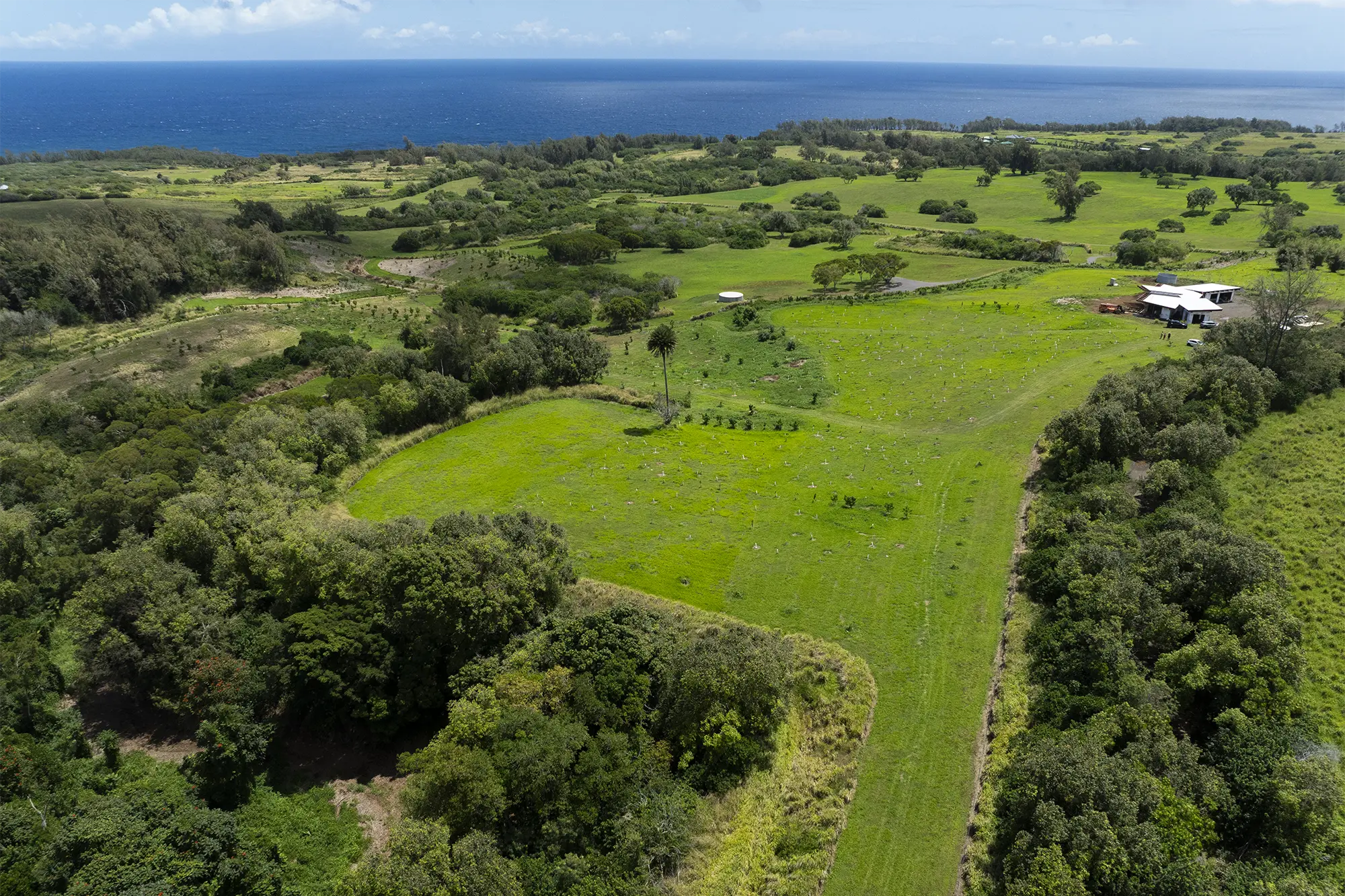 Terraformation forester in nursery