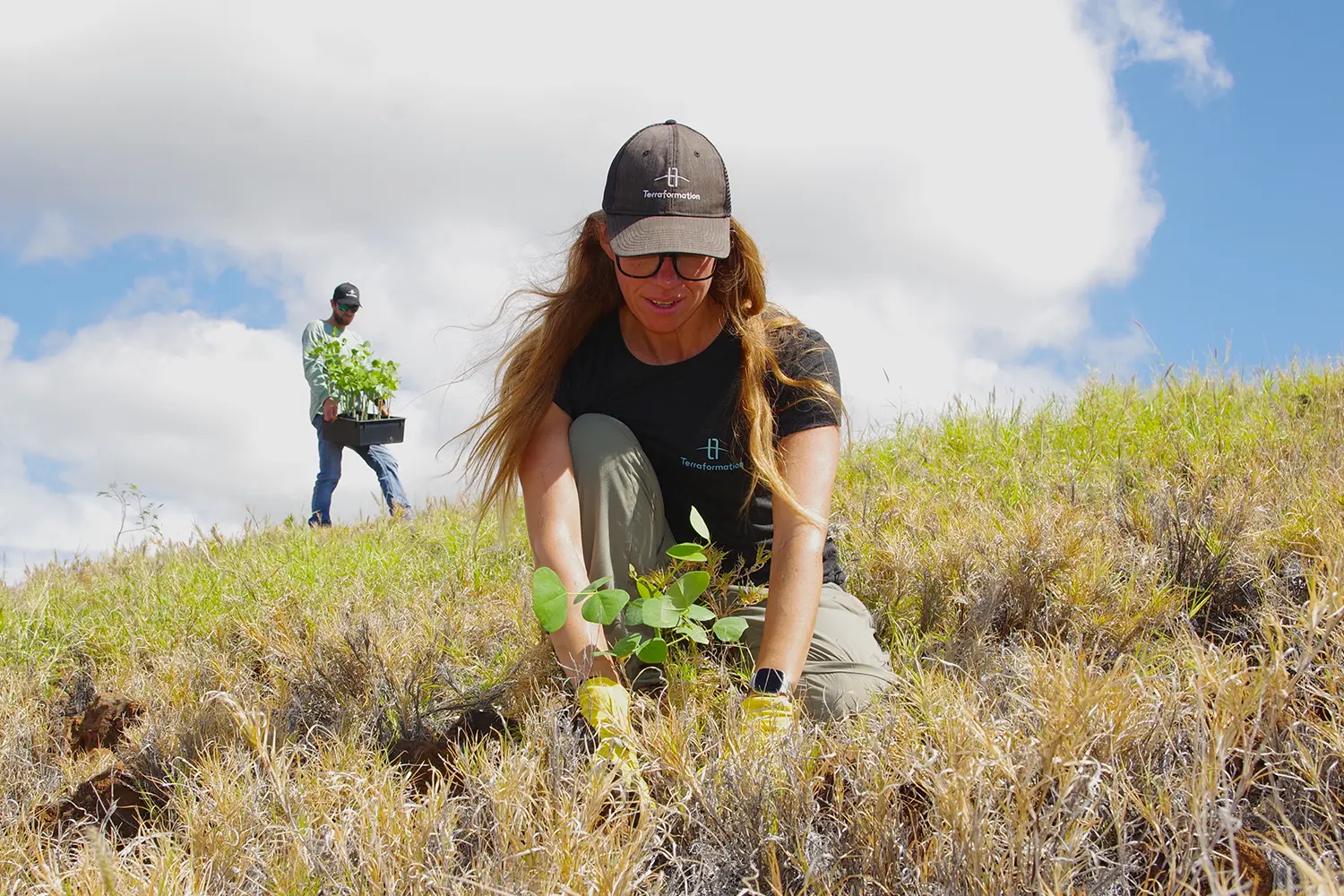 Terraformation Hawai‘i tree planting