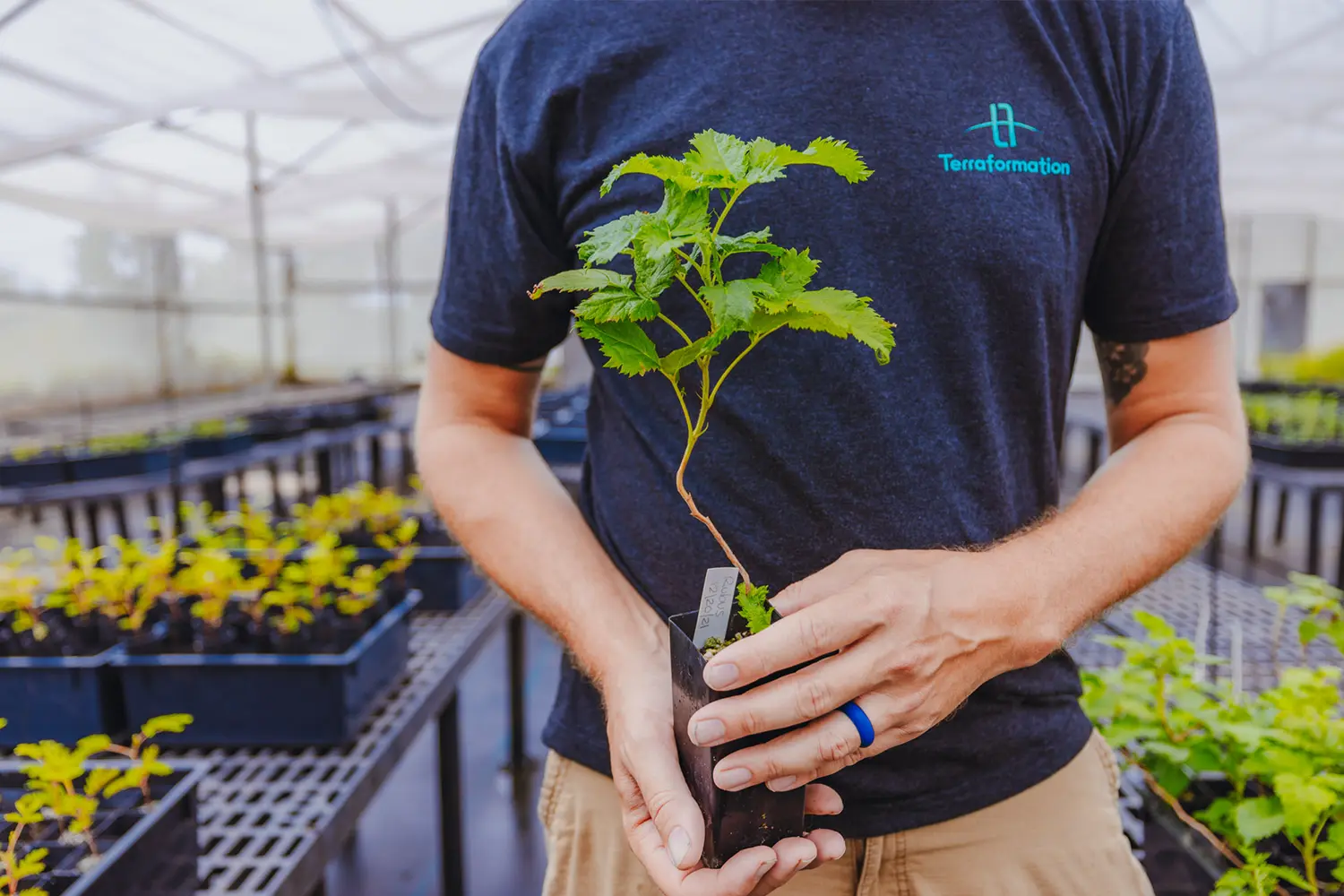 Terraformation Hawai‘i Nursery
