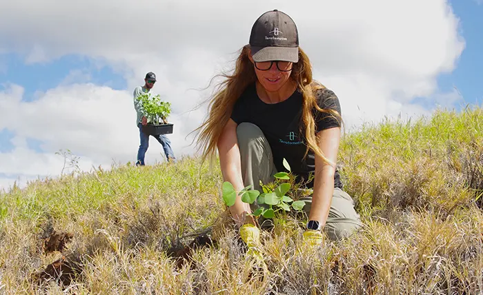 Terraformation Hawai‘i tree planting