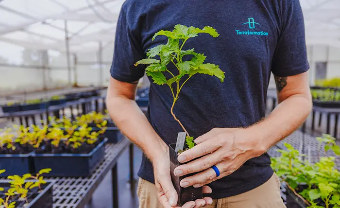 Terraformation Hawai‘i Nursery