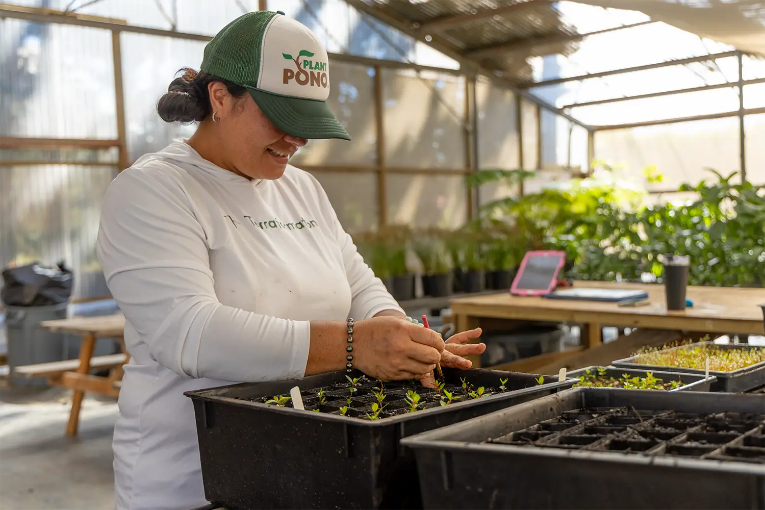 Terraformation forester working in a nursery
