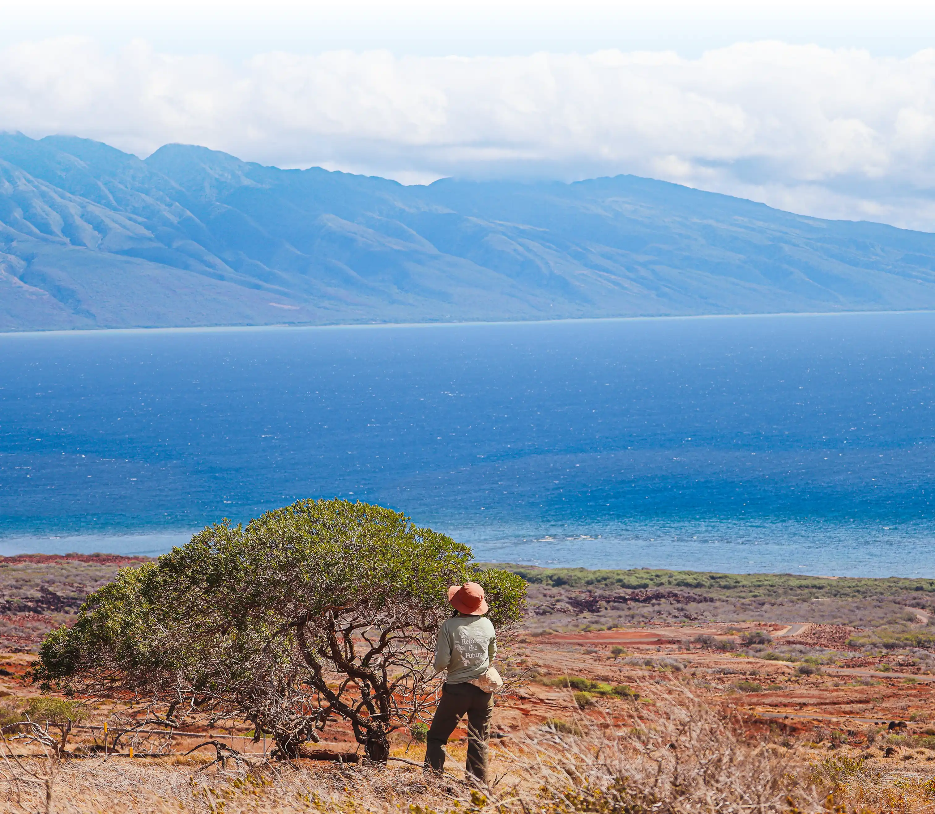 Terraformation forester collecting seeds on a project site