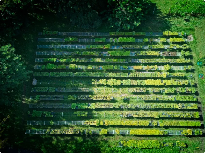 An aerial view of the greenhouse operations.