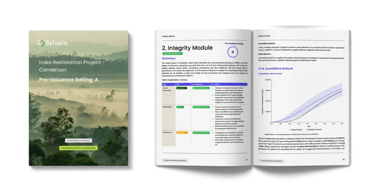 An illustrated example of what our pre-issuance report from Sylvera looks like