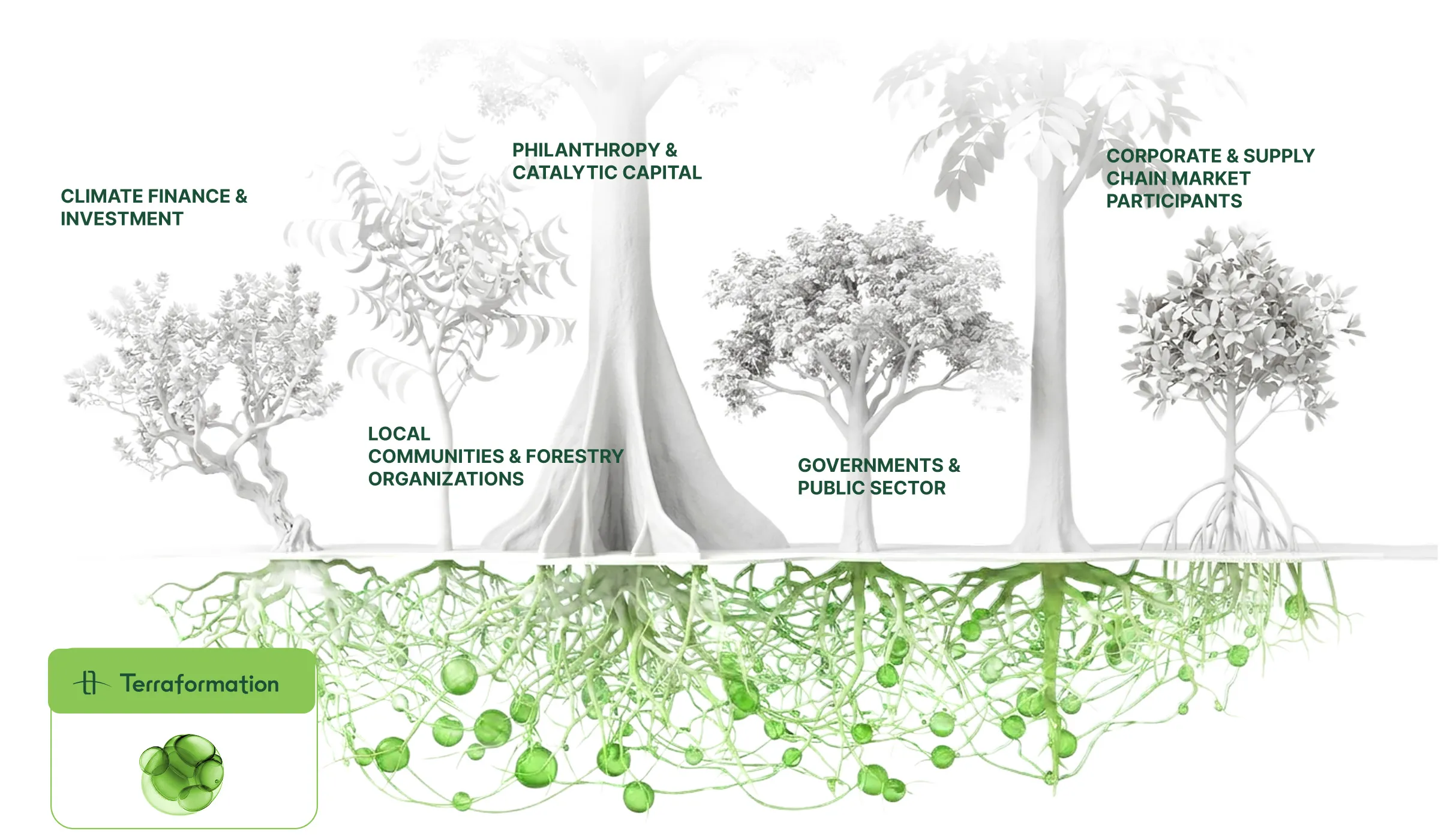 Illustration of five trees with interconnected green roots representing partnerships in an ecosystem labeled: Climate Finance & Investment, Local Communities & Forestry Organizations, Philanthropy & Catalytic Capital, Governments & Public Sector, and Corporate & Supply Chain Market Participants, with a Terraformation logo in the bottom left corner.