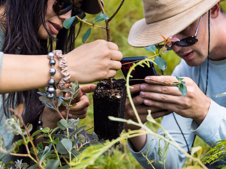 Two people outdoors examining a small sapling with exposed roots; one holds the plant while the other takes a photo with a smartphone. They are surrounded by greenery and wearing sunglasses, with one person wearing a wide-brimmed hat.