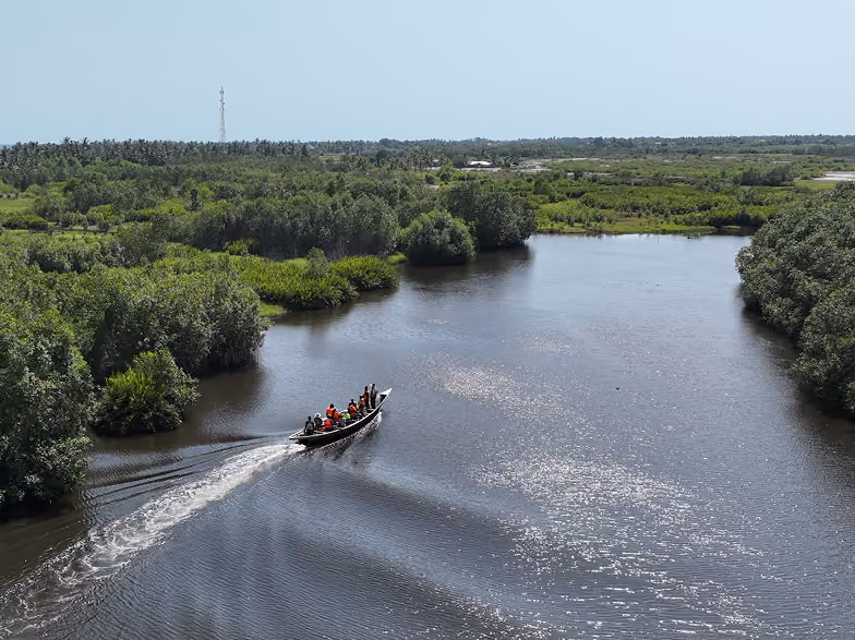 Motorboat with several people wearing life jackets cruising on a wide river surrounded by dense green mangrove vegetation under a clear sky.