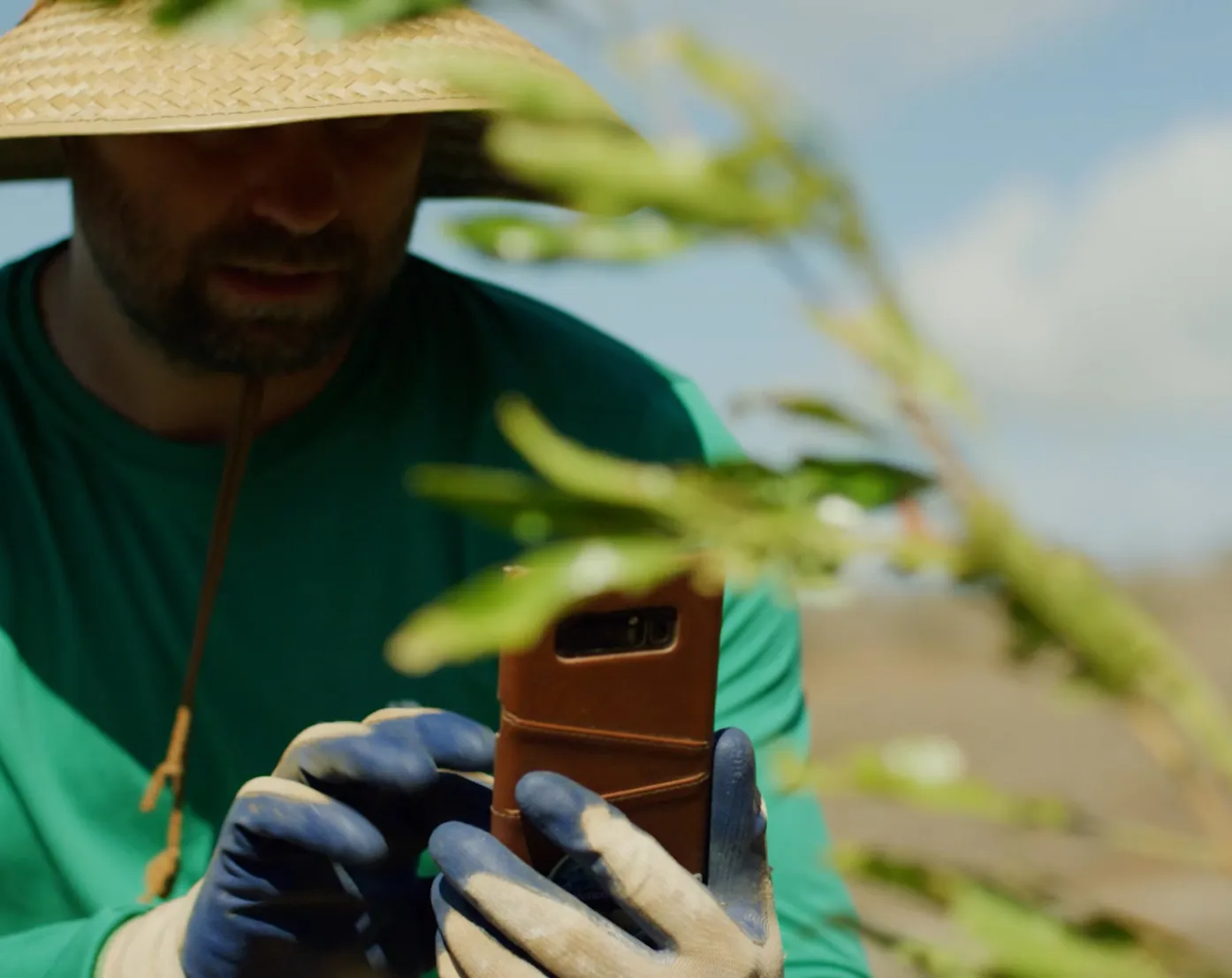 Man wearing a wide-brimmed straw hat and green shirt holding a smartphone with blue gardening gloves, partially obscured by green plant leaves outdoors.