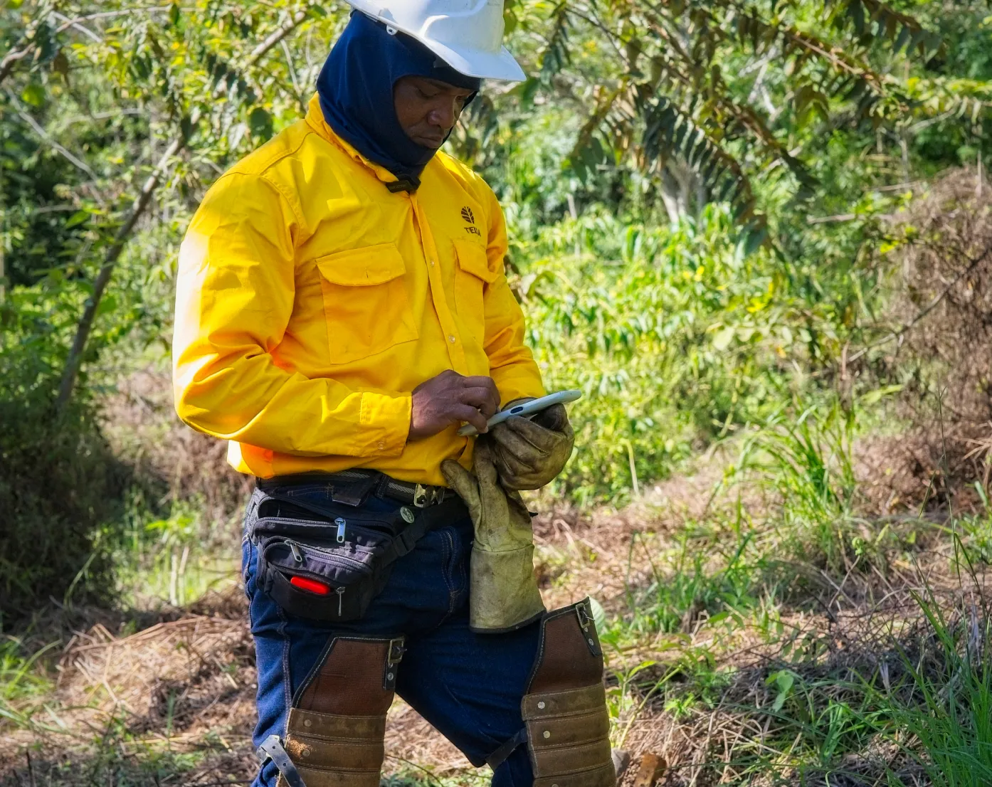 Worker wearing a yellow jacket, brown work gloves, a white hard hat, and protective knee pads using a tablet in a green outdoor area.