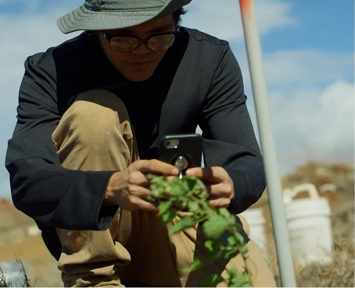 Person wearing a hat and glasses crouching outdoors, holding a smartphone and examining green plants.