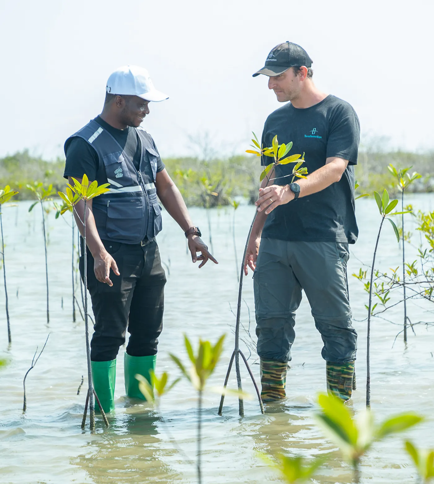 Two men standing in shallow water among young mangrove plants; one man wearing green boots and a white cap points towards the water while the other holds a small mangrove tree and wears camouflage boots and a black cap.