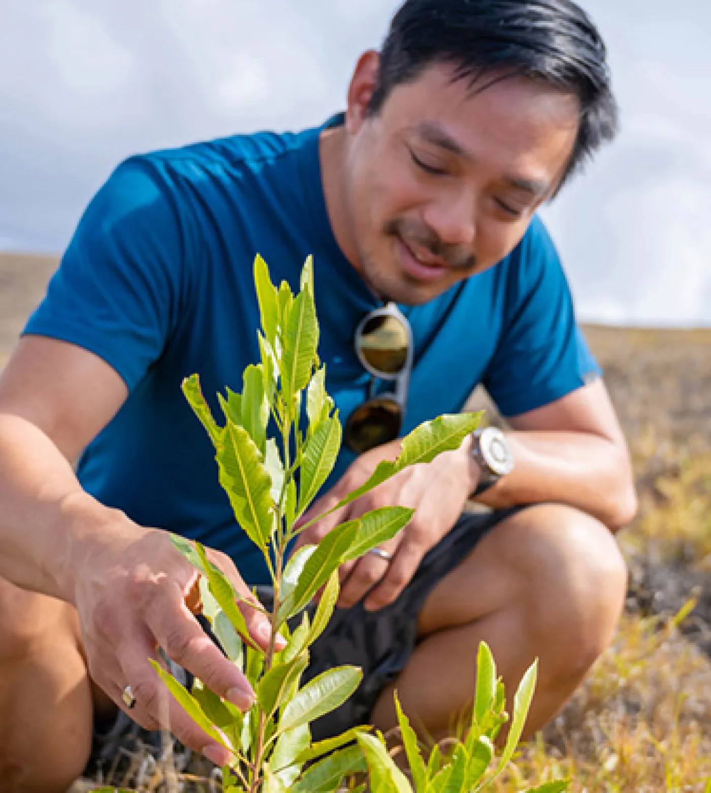 A man in a blue shirt crouching outdoors, gently touching the leaves of a young plant in a natural setting.