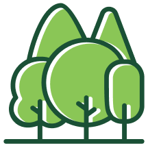 Graph icon