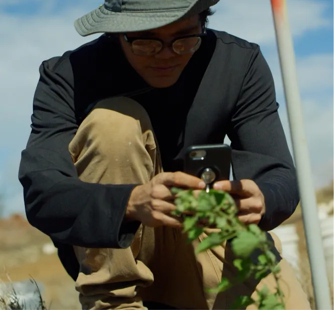 Person wearing a wide-brimmed hat, glasses, black long-sleeve shirt, and tan pants crouched outdoors, holding a smartphone and focusing on a green plant.