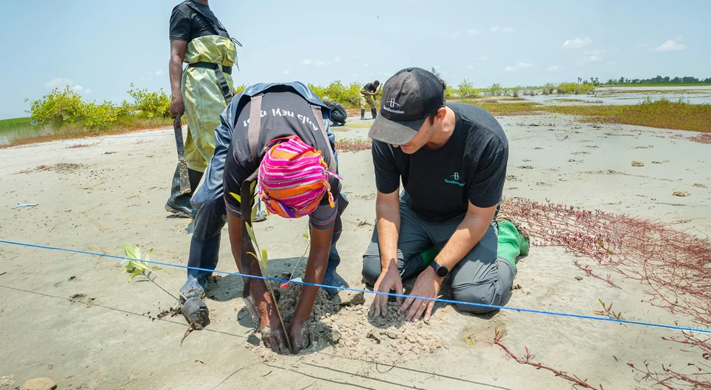 Two people planting young mangrove saplings in a sandy wetland area, one wearing a colorful headscarf and the other wearing a black cap and green boots, with a third person standing nearby holding a tool.