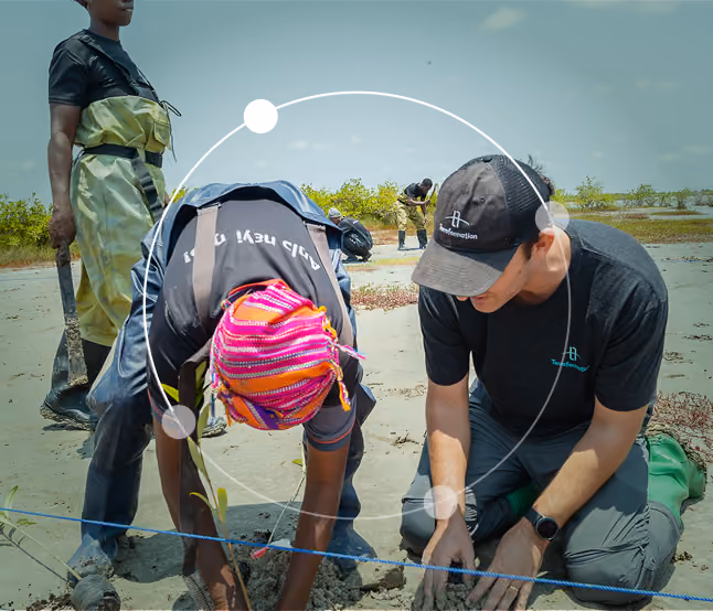 Two people planting mangrove seedlings in muddy soil near water, with one person wearing a colorful headscarf and the other wearing a black cap and dark shirt; others work in the background in a coastal restoration setting.