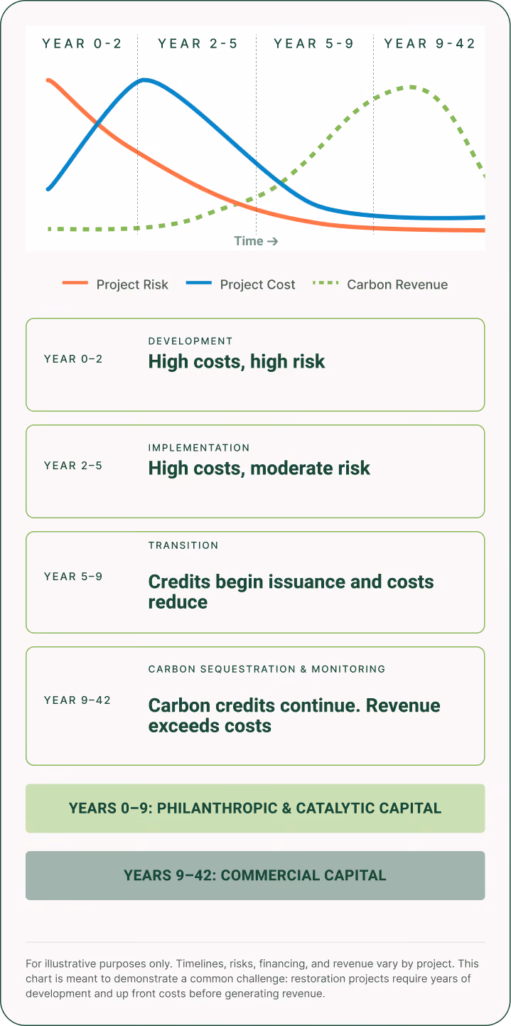 Line chart showing project risk, cost, and carbon revenue over time divided into four phases: Year 0-2 Development with high costs and risk; Year 2-5 Implementation with high costs and moderate risk; Year 5-9 Transition where credits begin issuance and costs reduce; Year 9-42 Maintenance where carbon credits continue and revenue exceeds costs. Project risk (orange) declines over time, project cost (blue) peaks at year 2-5 then declines, and carbon revenue (green dotted) starts after year 5, peaking near year 9. Funding phases are philanthropic and catalytic capital for years 0-9, and commercial capital for years 9-42.