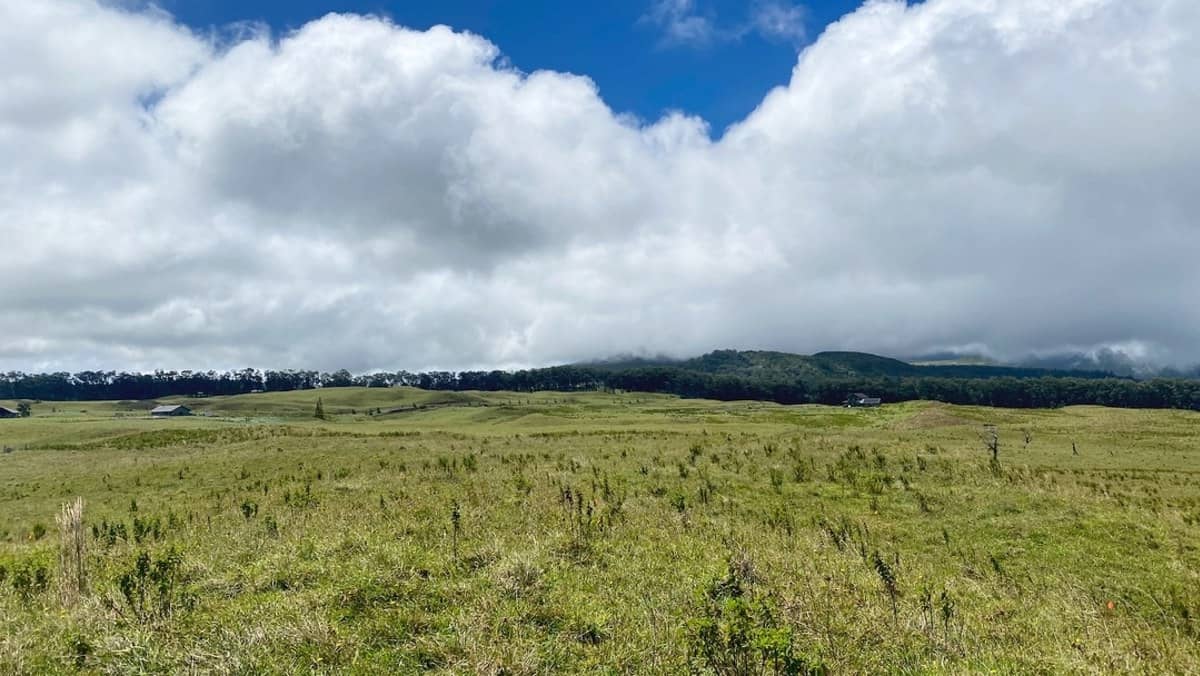 ʻŌhiʻa Lani restoration site