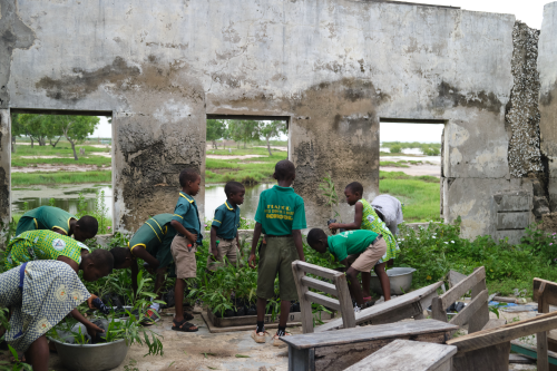 Children tend to seedlings.