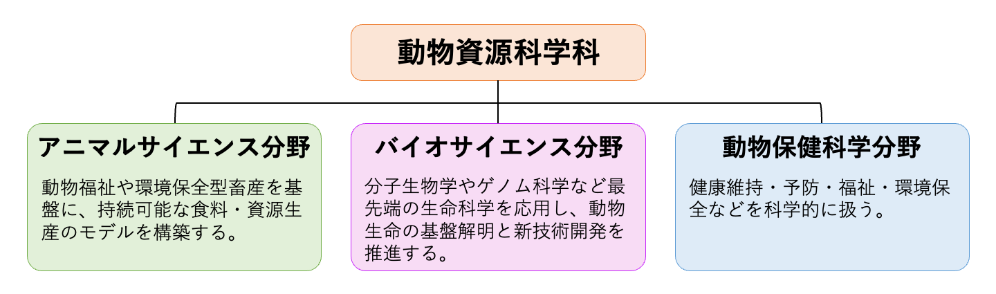 動物資源科学科 - 北里大学獣医学部