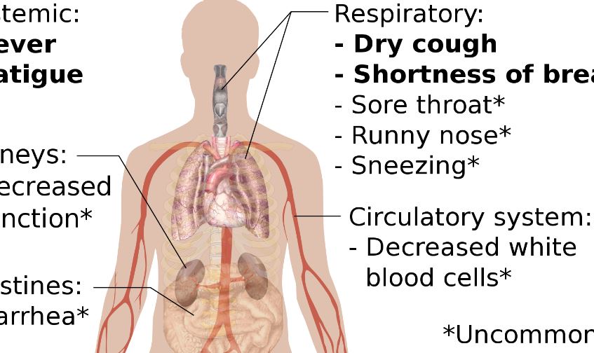 Mga Pag-iingat Kapag Gumagamit ng HEART KEEP?