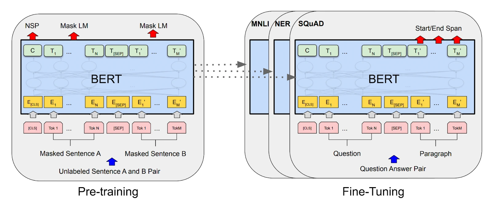 Building BERT with PyTorch from scratch