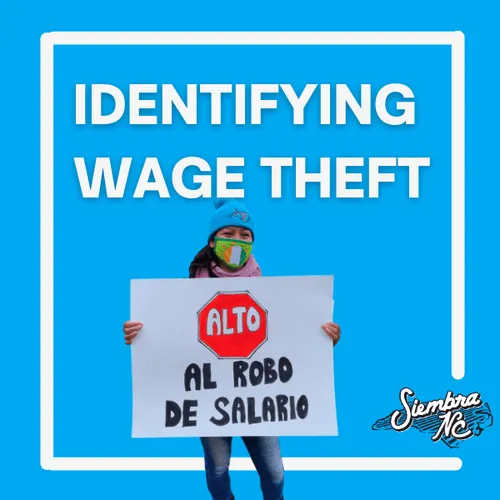 Identifying Wage Theft