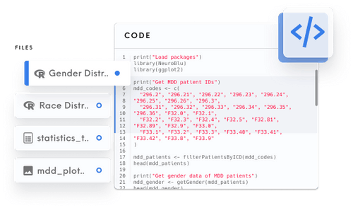 R Code interface that showcases the code panel with different types of files such as 'R', CSV, Image.