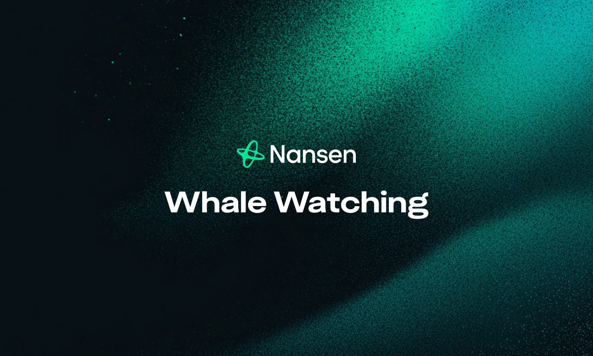 Whale Watching: Top Tools for Monitoring Large Crypto Wallets