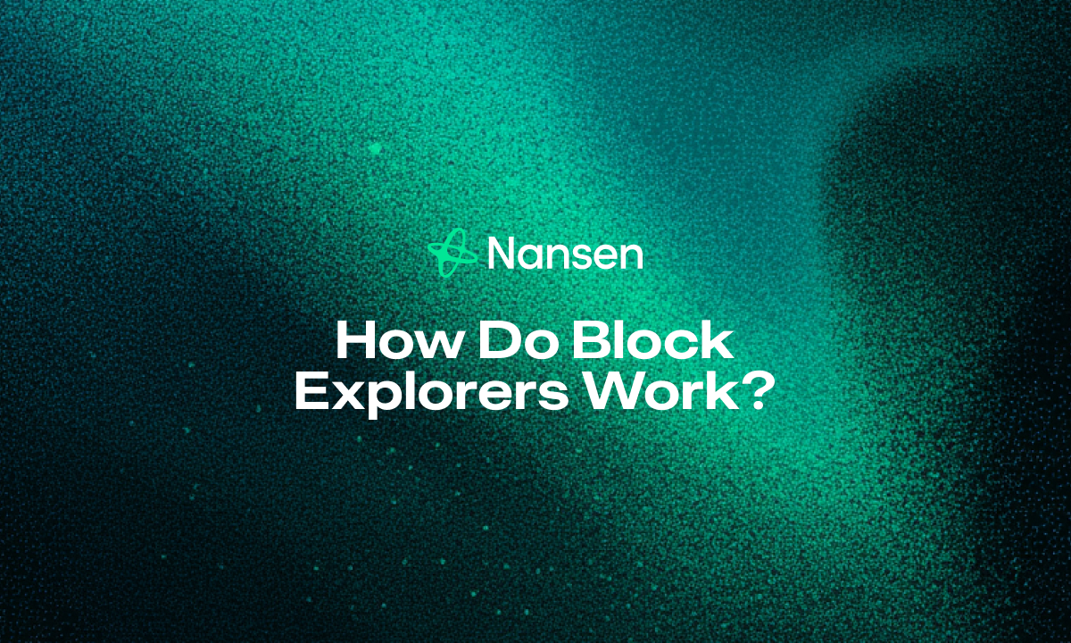 How Do Block Explorers Work in Tracking Cryptocurrency Wallets? Your Essential Block Explorer Guide