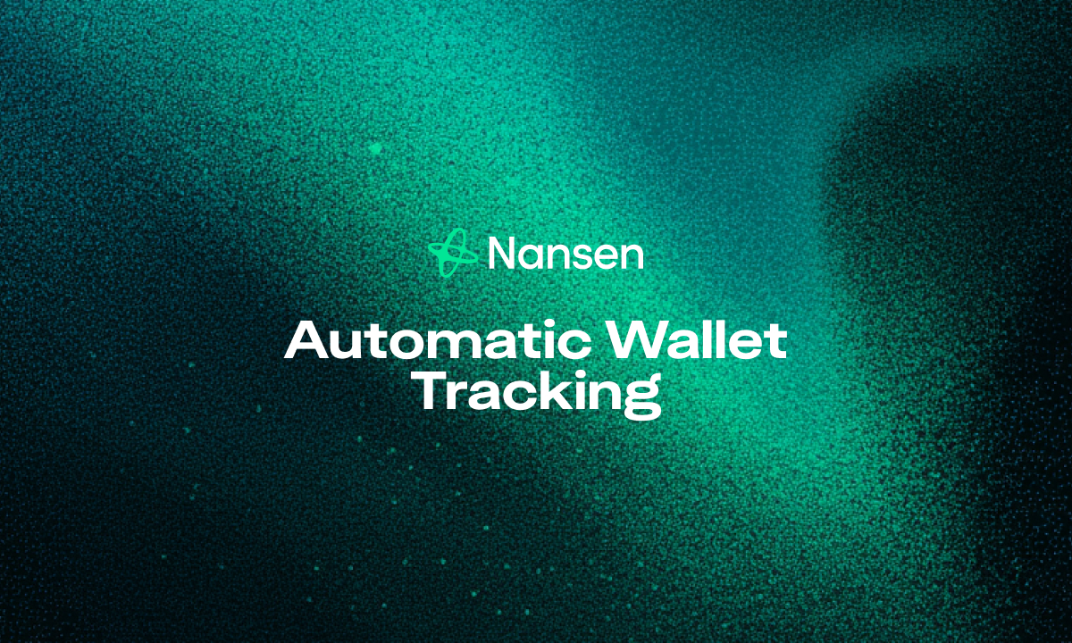 Automatic Wallet Tracking: How to Monitor Crypto Balance Changes Instantly