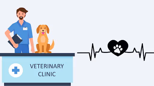 Make Sure Your Dog Is Healthy