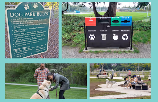 Tips for Encouraging Responsible Dog Park Use