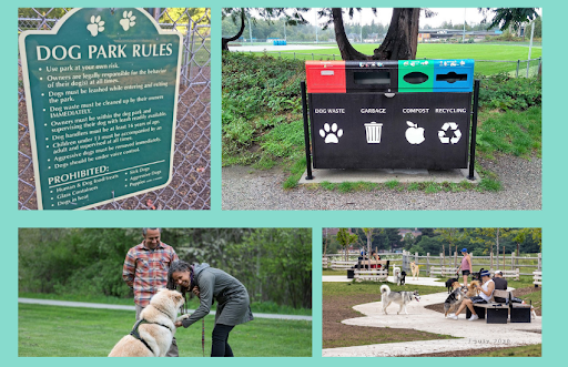 Tips for Encouraging Responsible Dog Park Use