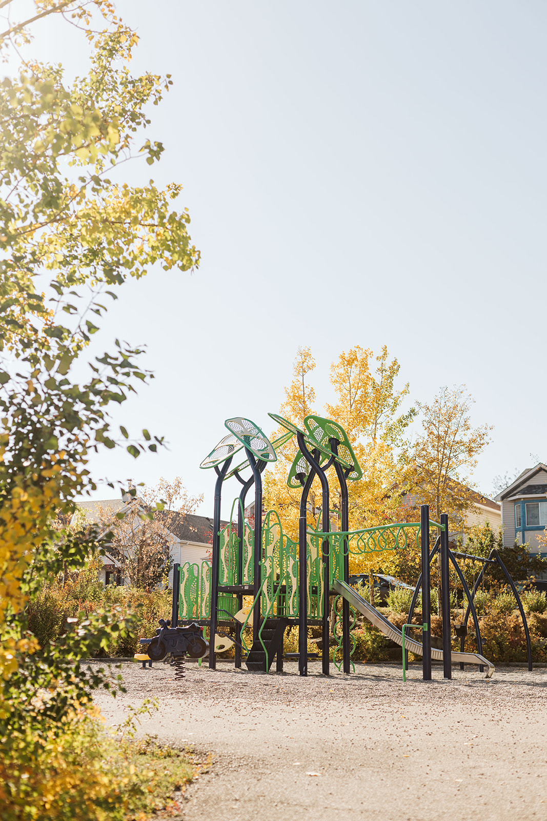 Avalon Playground playground equipment in Calgary, AB with custom design features