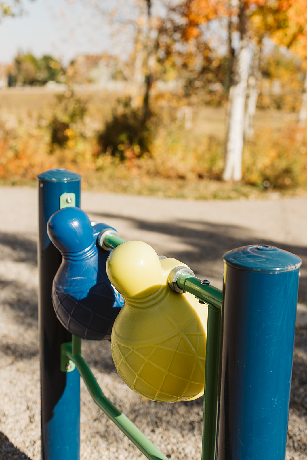 Avalon Playground playground equipment in Calgary, AB showing natural play materials