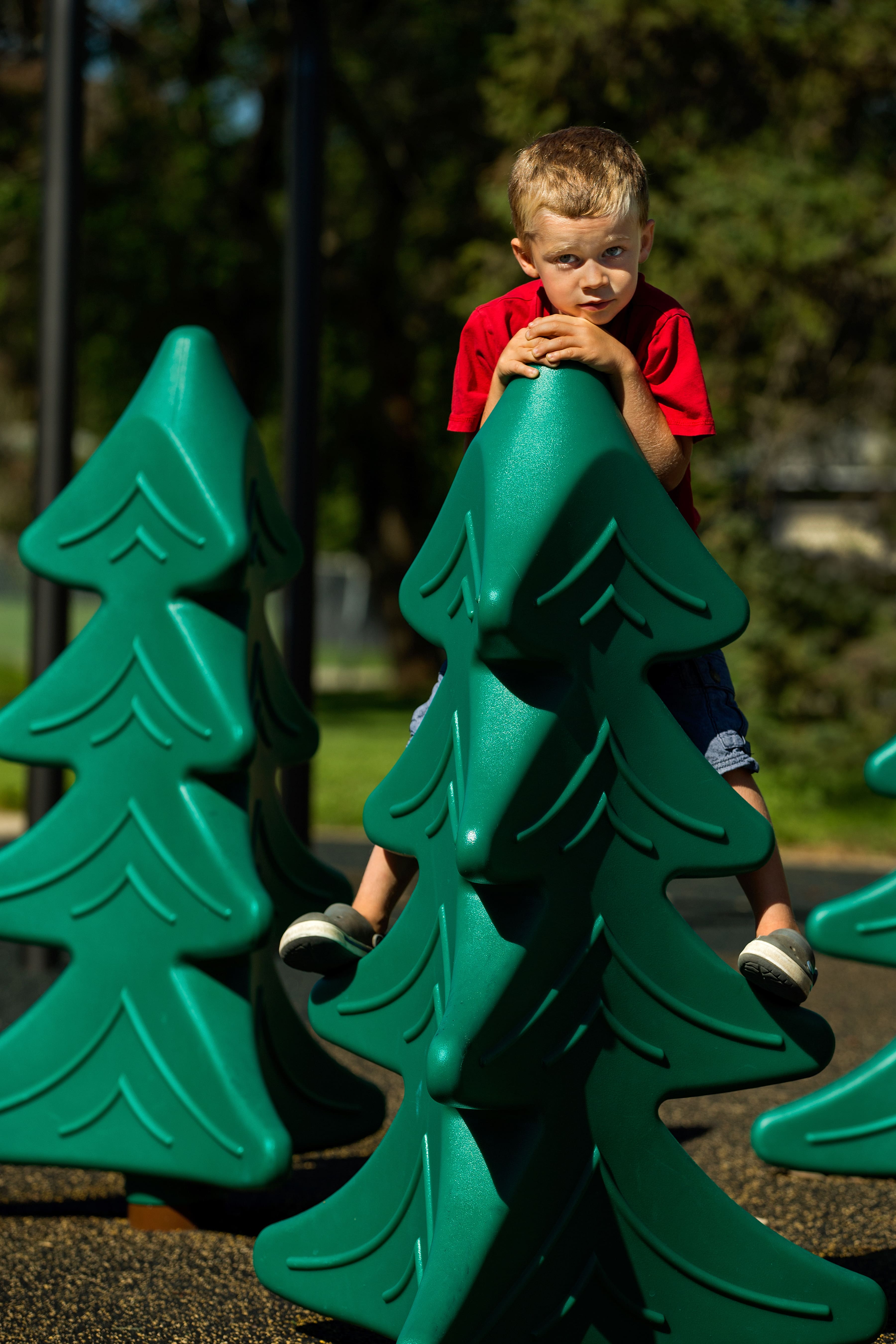 Lendrum "Honey Bee" Themed Park playground equipment in Edmonton, AB with safety surfacing and equipment