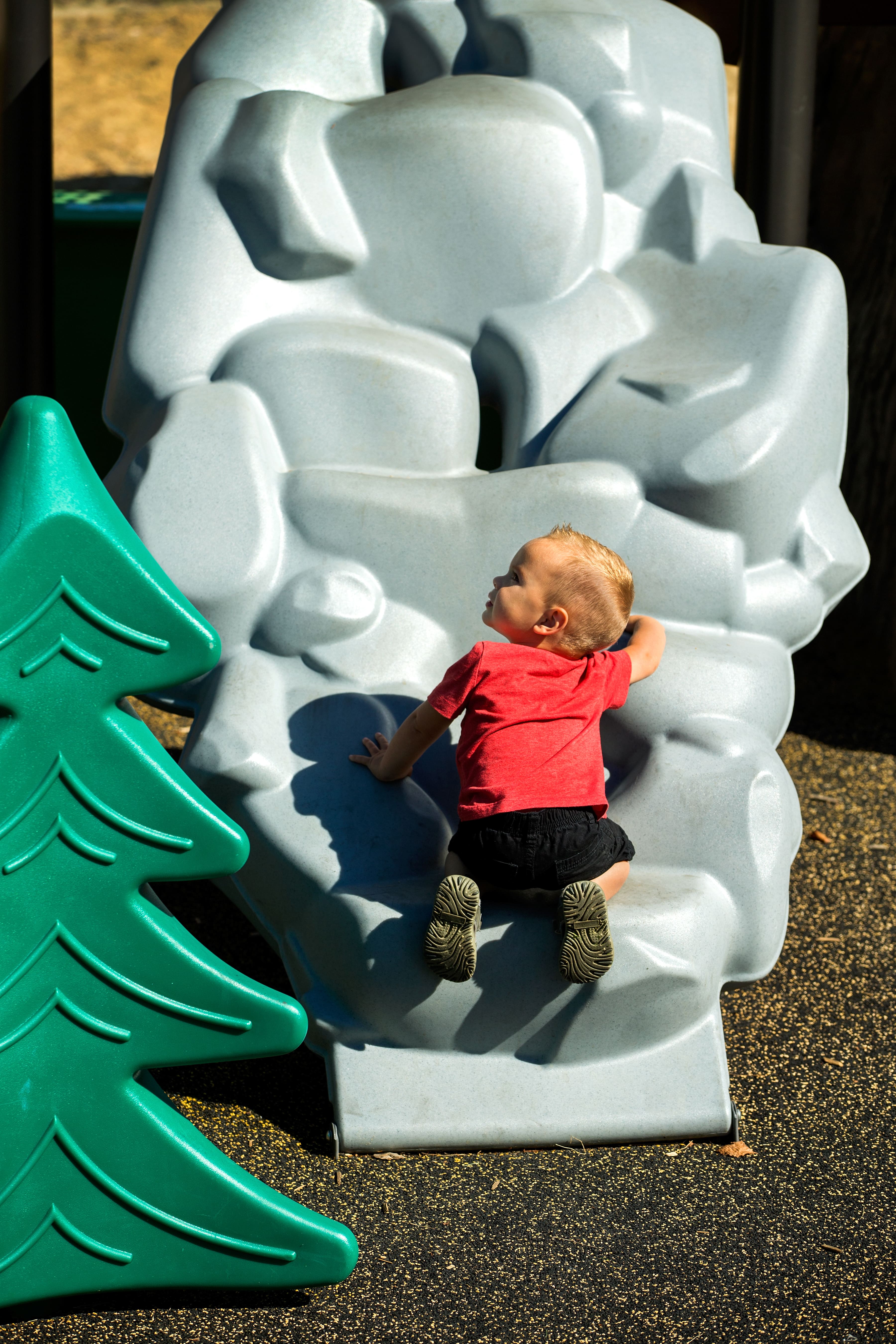 Lendrum "Honey Bee" Themed Park playground equipment in Edmonton, AB with climbing and sliding features