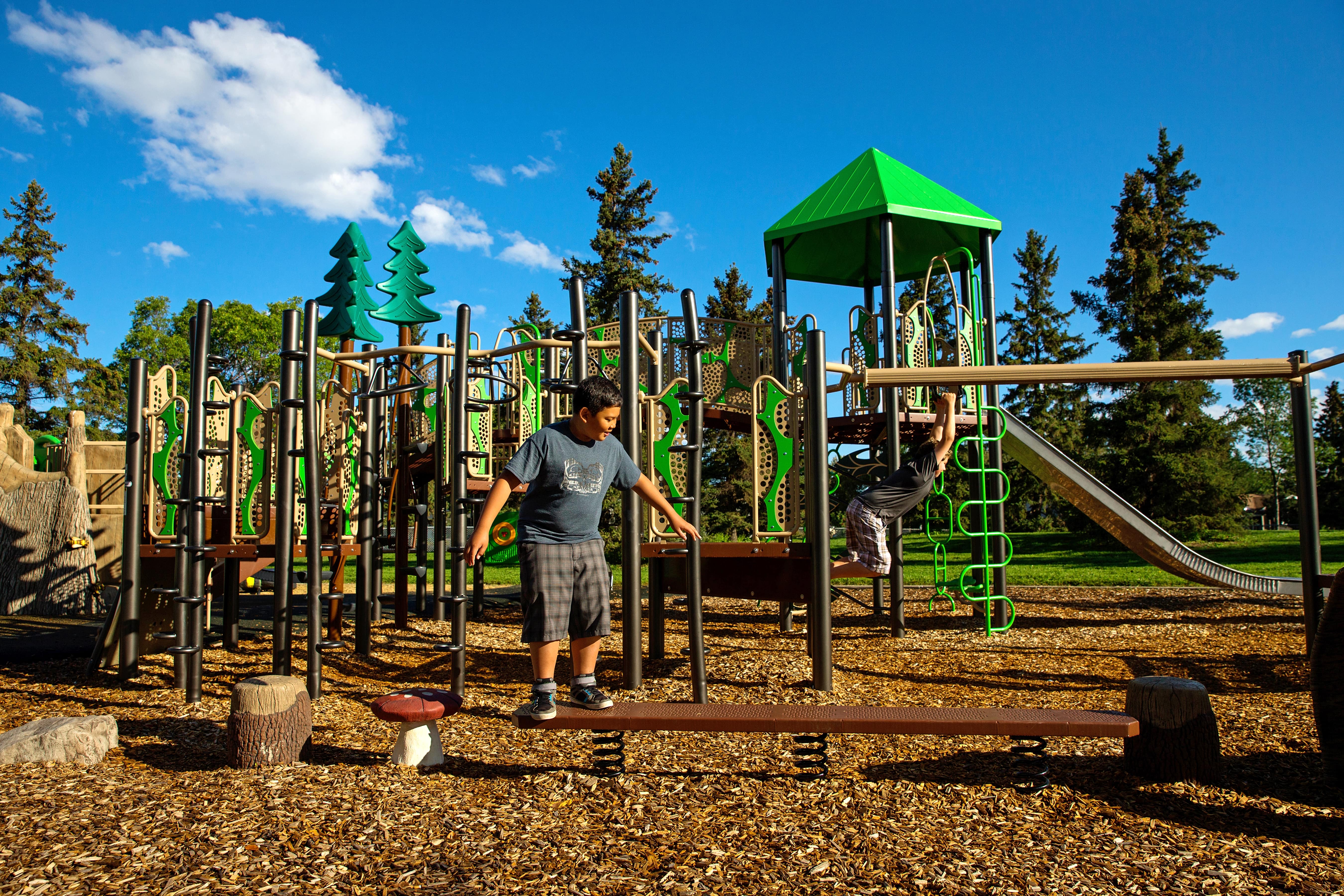 Lendrum "Honey Bee" Themed Park playground equipment in Edmonton, AB with natural and built play elements