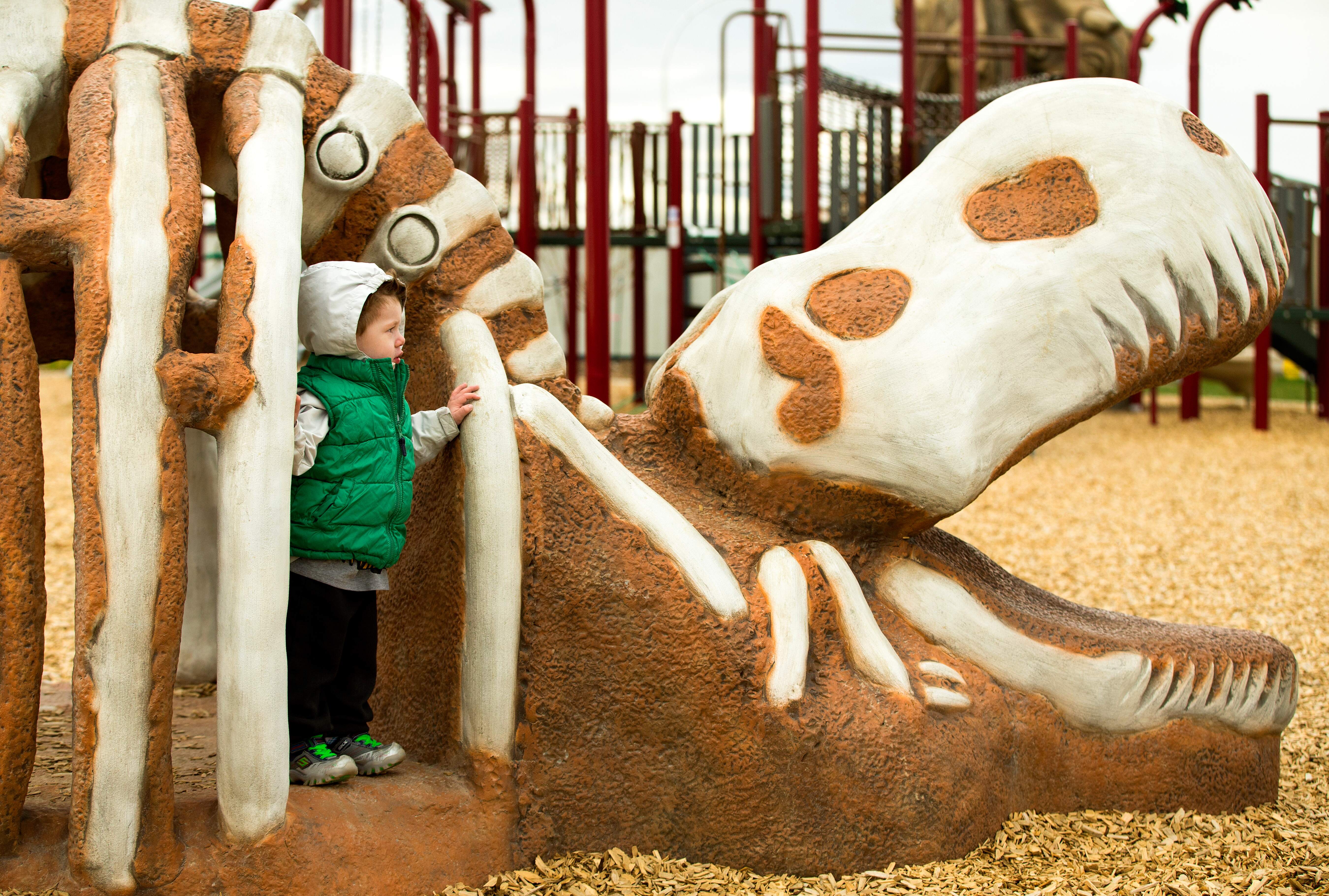 Meadowview Dinosaur Park playground in Leduc AB with dinosaur themed design and GFRC sculptures