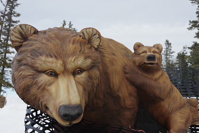 The Bears are Awake at Waskesui