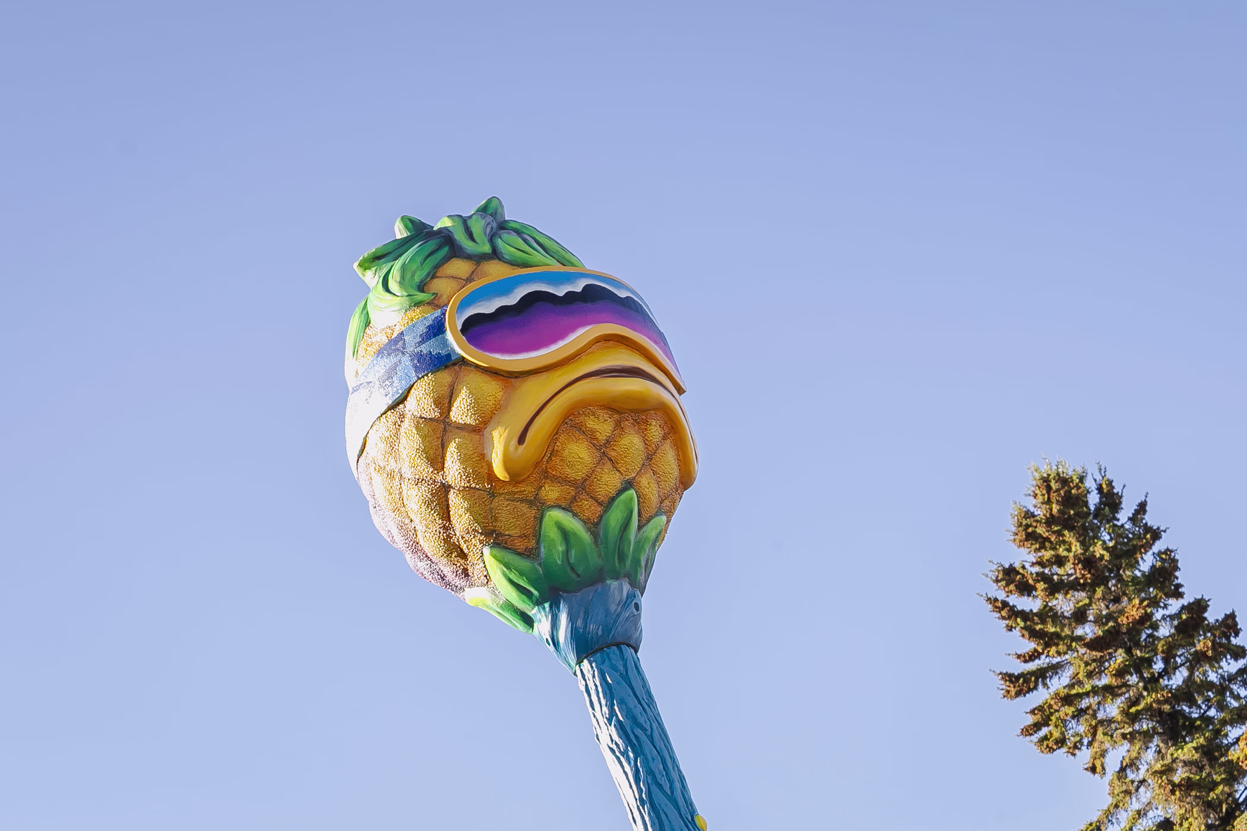 Balwin Pineapple Park (Edmonton, AB) in Edmonton, AB - playground detail and design features