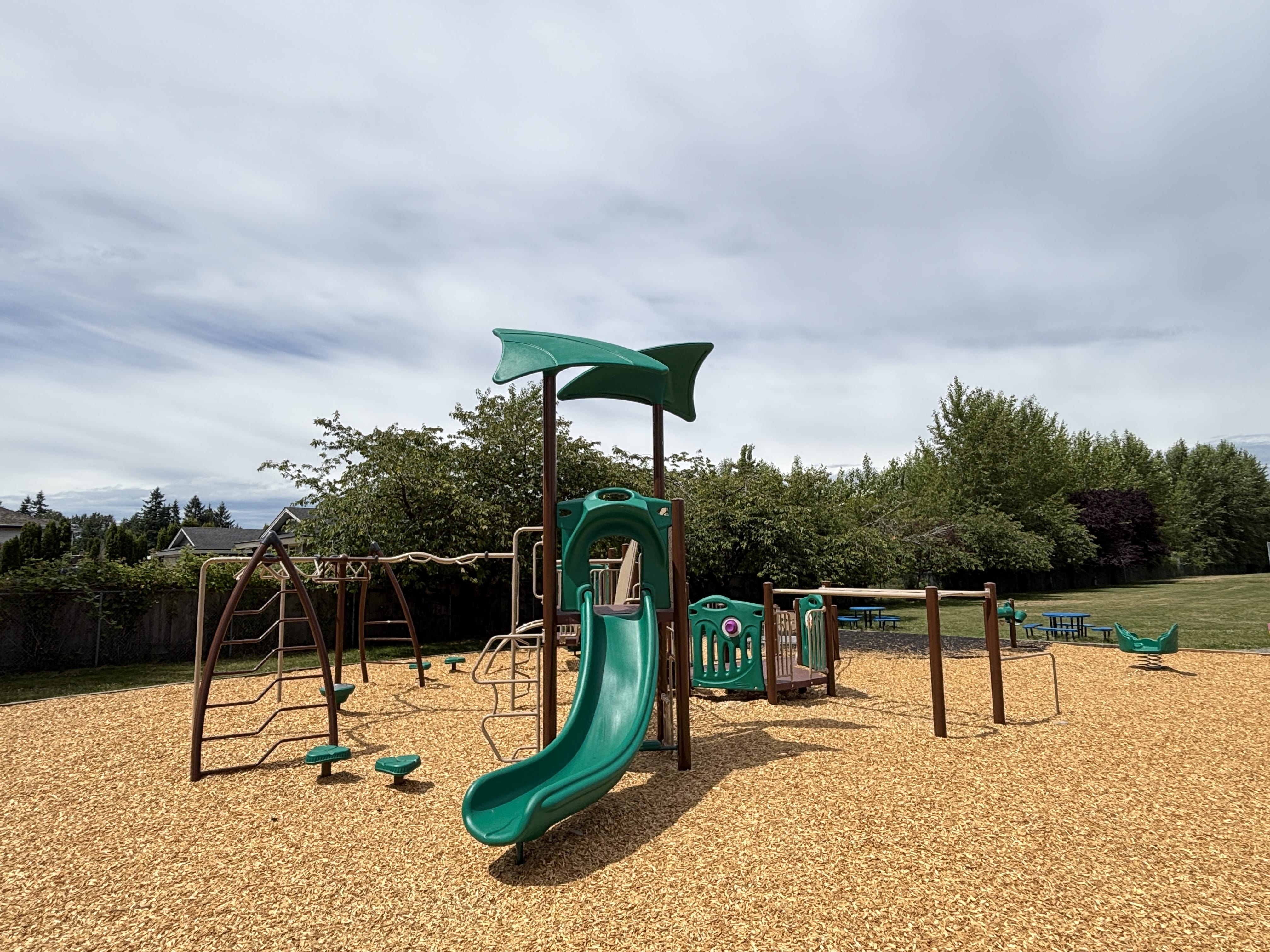 Glenwood Elementary Playground playground in Langley, BC - play area surfacing and safety features