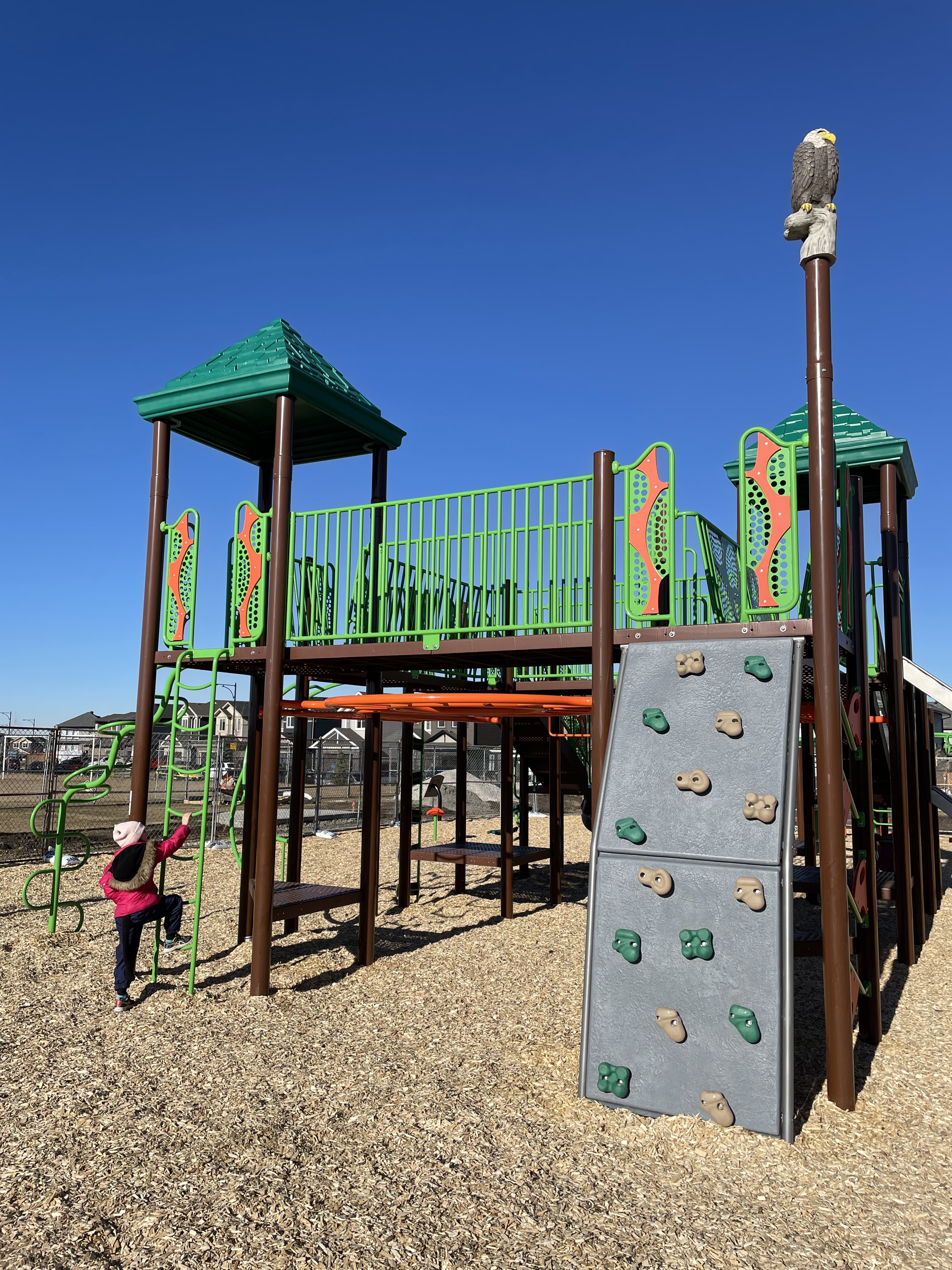 Shauna May Seneca School (Edmonton, AB) playground in Edmonton, AB - natural playground features