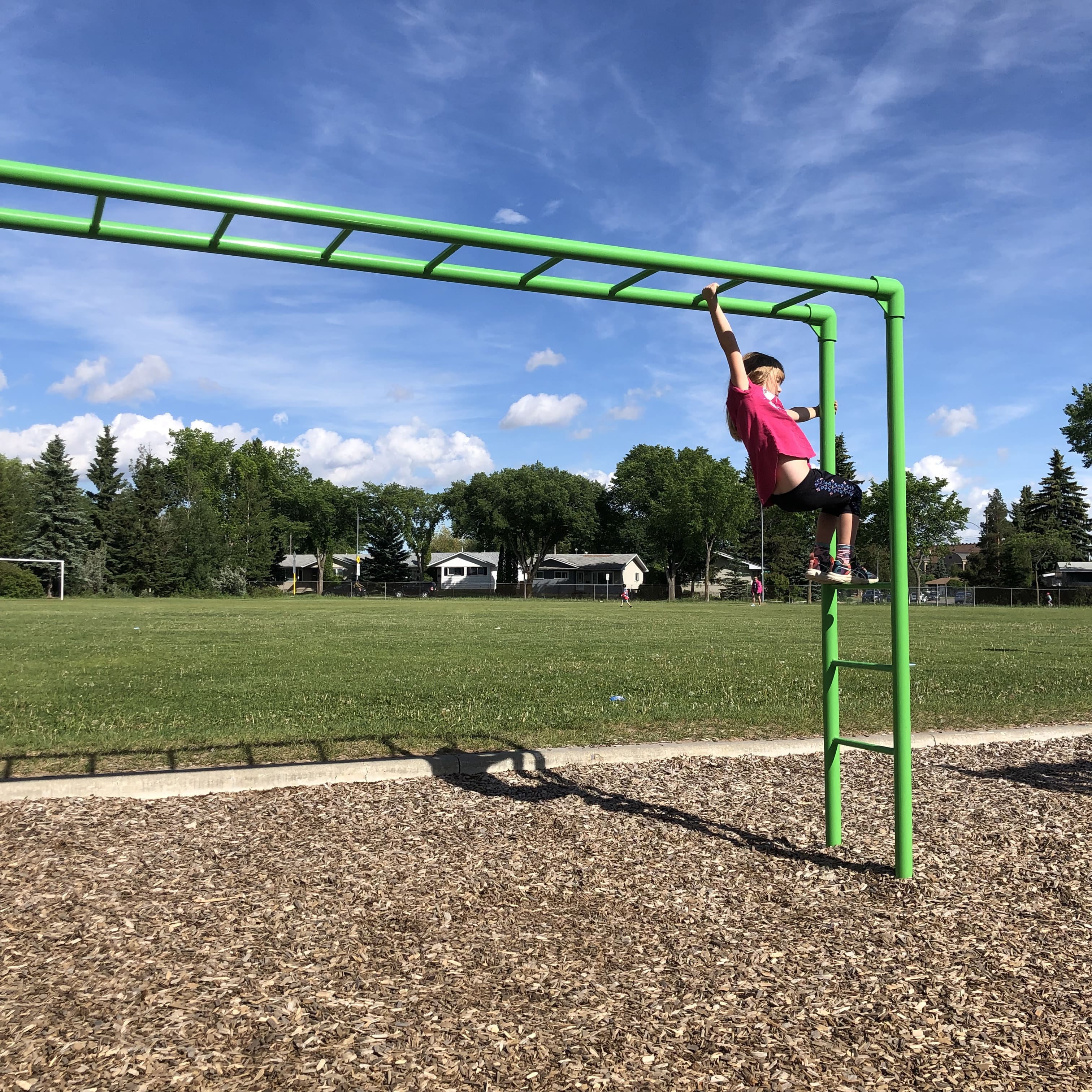 Meadowlark Park (Edmonton, AB) playground in Edmonton, AB - overview of play area and equipment